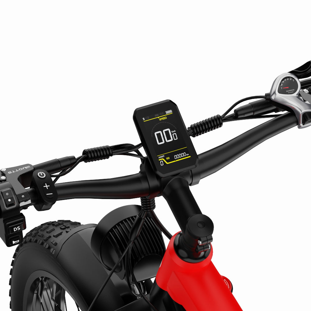 Duotts F26 E-Bike Schwarz