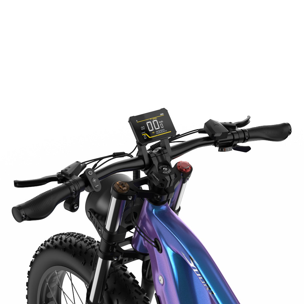 Duotts E26 E-Bike Blau