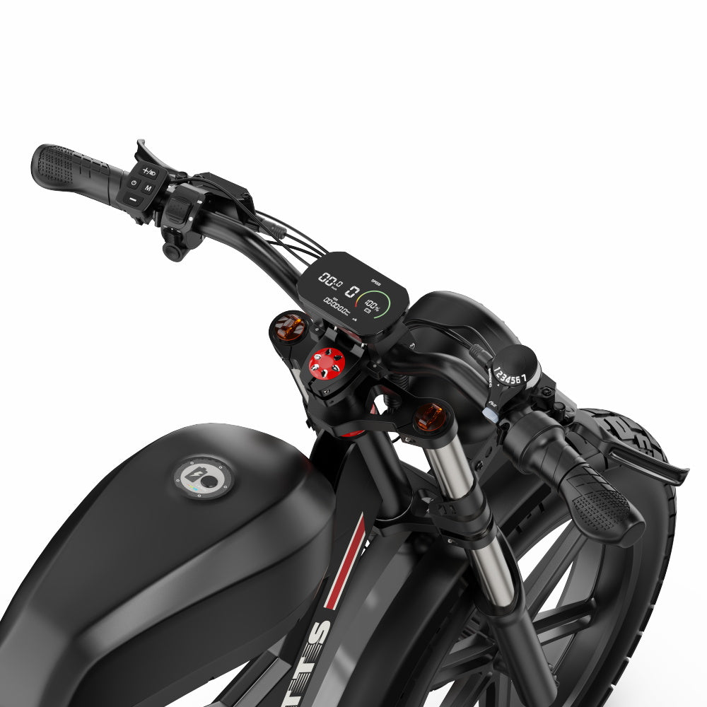 Duotts F20 E-Bike
