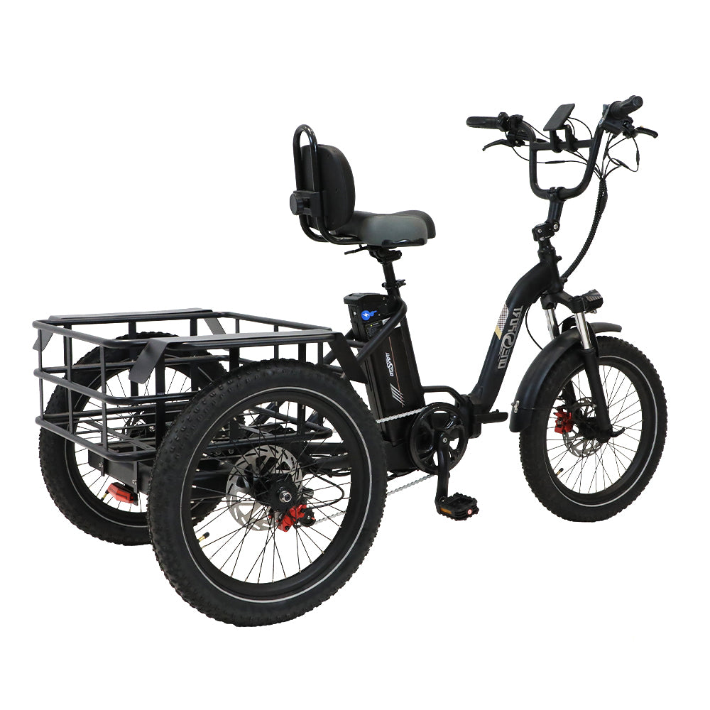 OneSport OT30 Elektro-Dreirad Schwarz