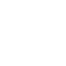 feature-item-1