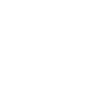 feature-item-6