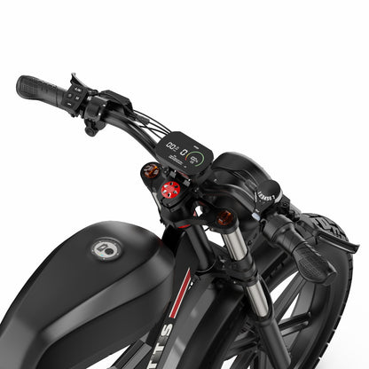 Duotts F20 E-Bike