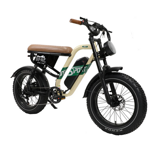 OneSport W66 E-Bike im Moto-Stil